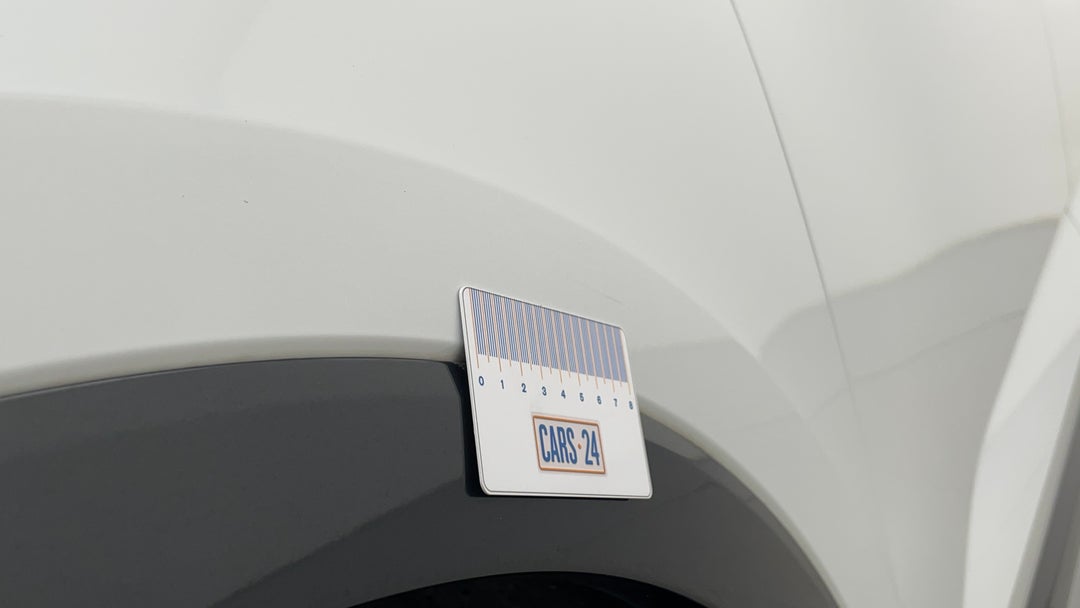 Quarter Panel Front LHS Guard Chip