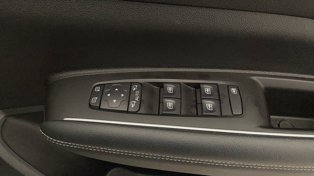 Drivers Side Door Panel Controls