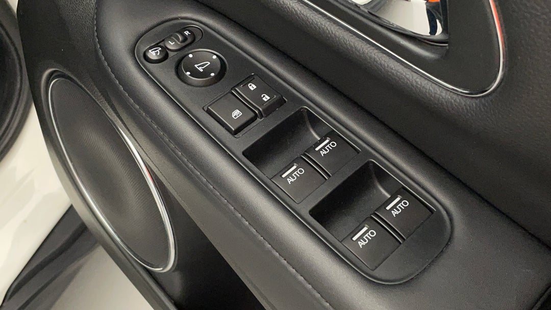 Drivers Side Door Panel Controls