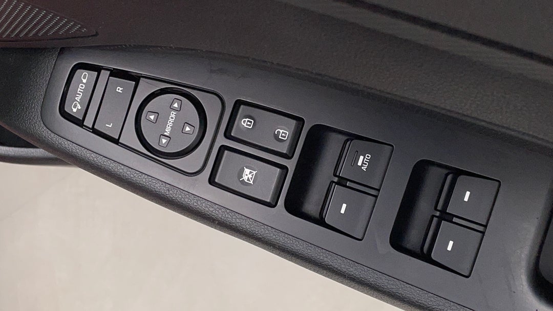 Drivers Side Door Panel Controls