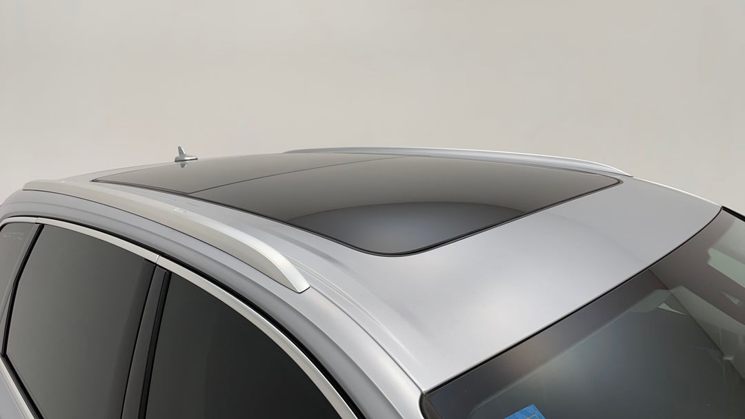 Roof/Sunroof View