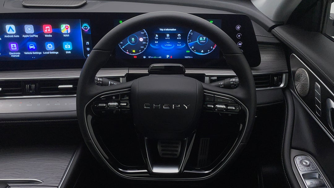 Steering Wheel Close-up