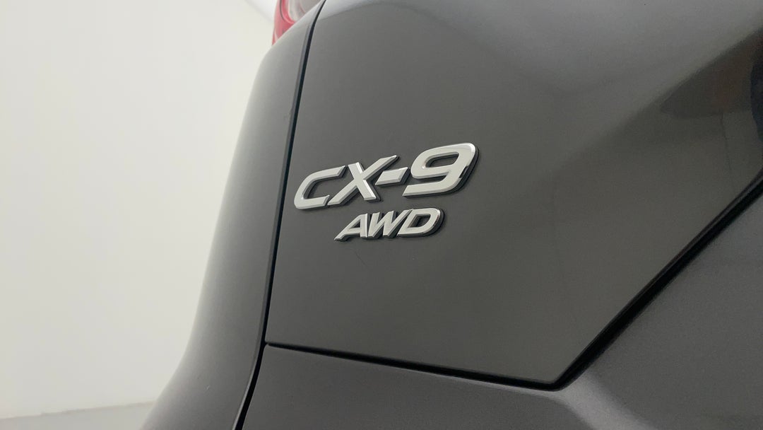 Badge (Boot Left Side)