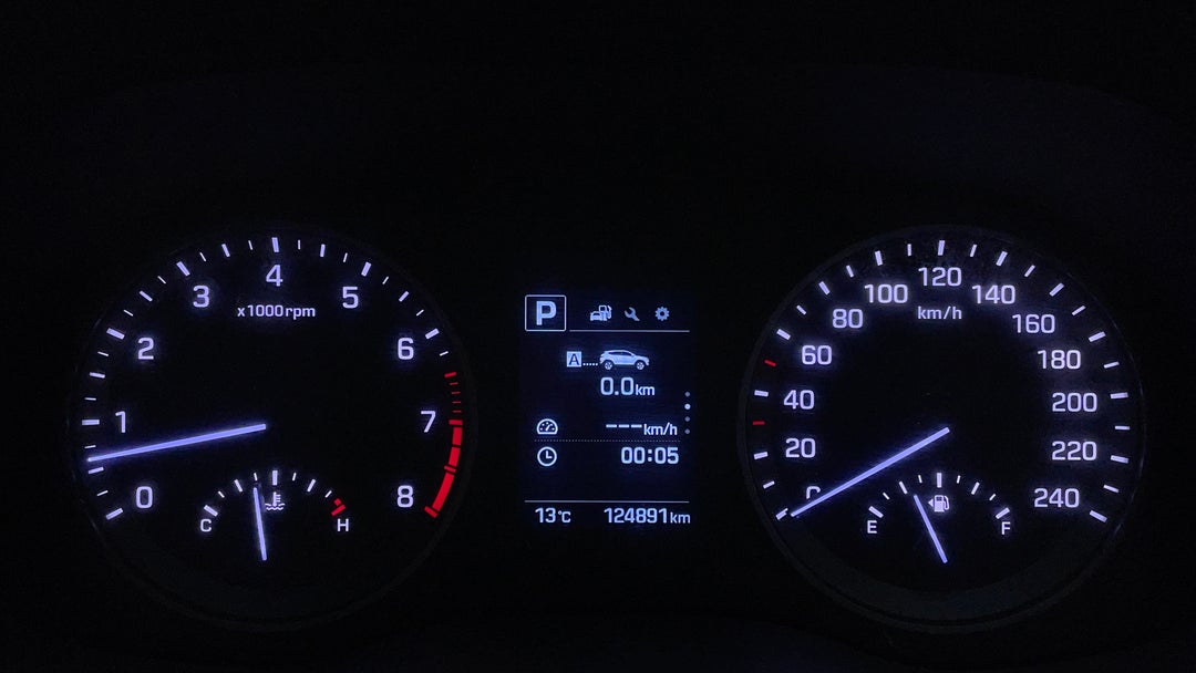 Odometer View