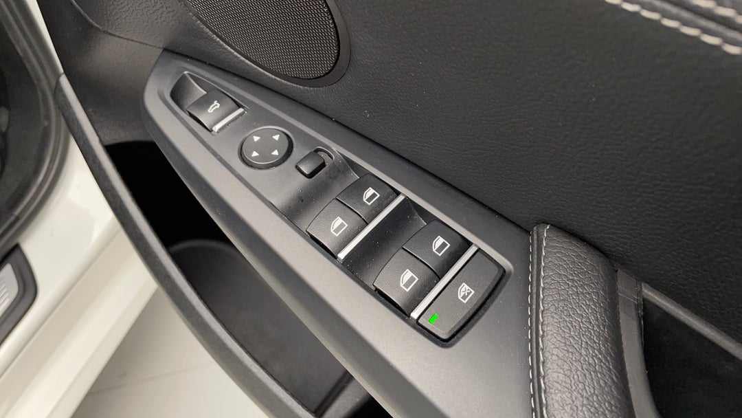 Drivers Side Door Panel Controls
