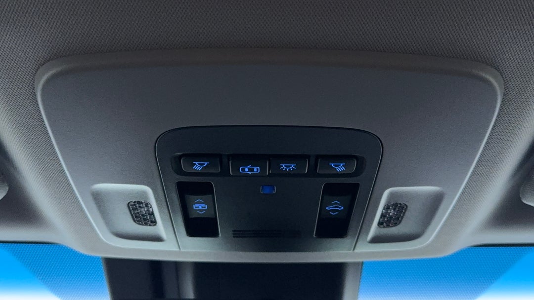 On-Roof Controls/Sunglass holder