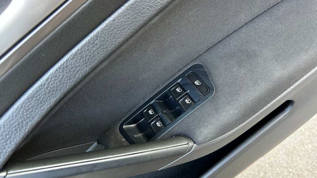 Drivers Side Door Panel Controls