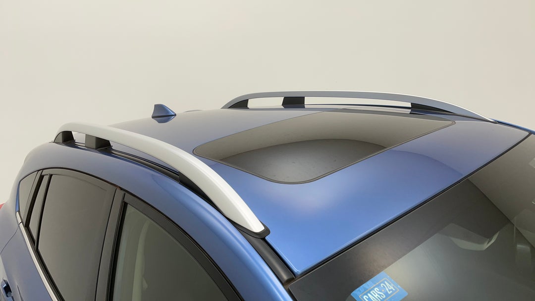 Roof/Sunroof View