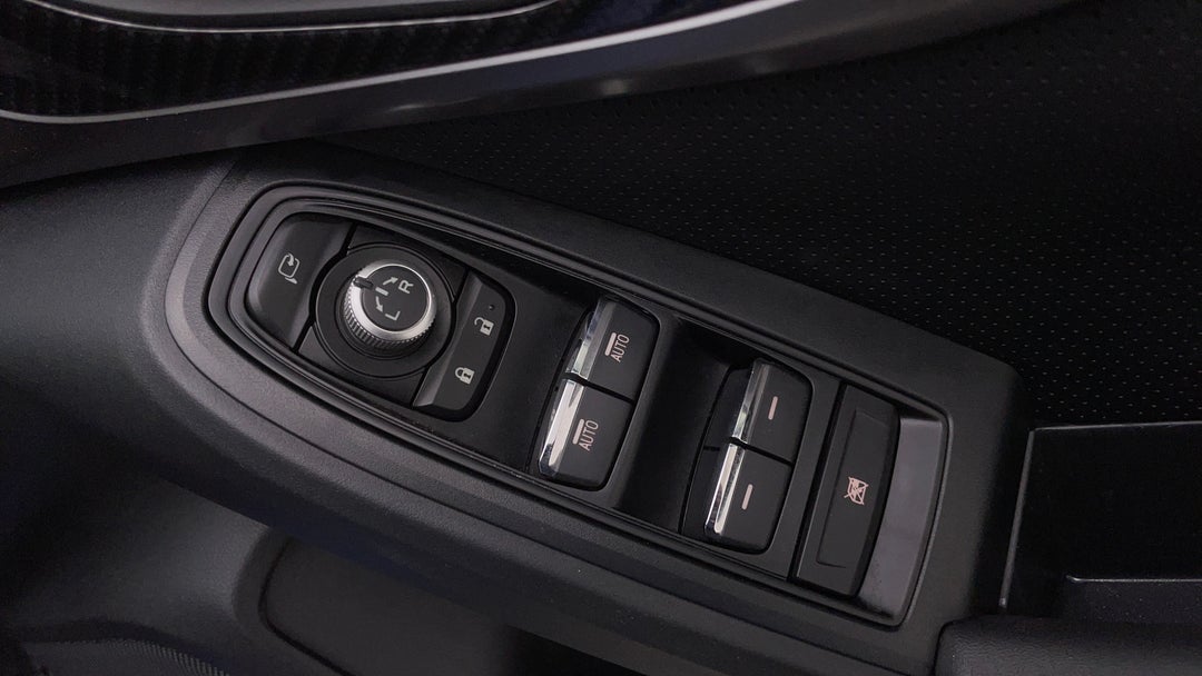 Drivers Side Door Panel Controls