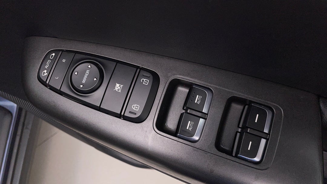 Drivers Side Door Panel Controls