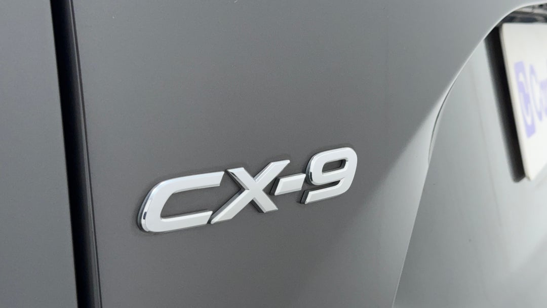 Badge (Boot Left Side)