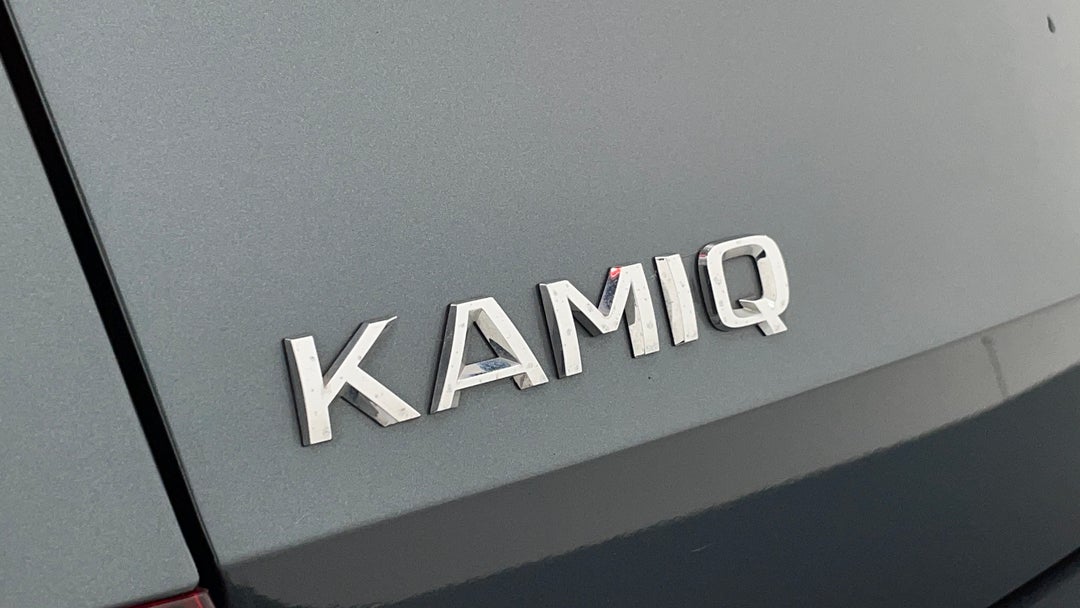 Badge (Boot Left Side)