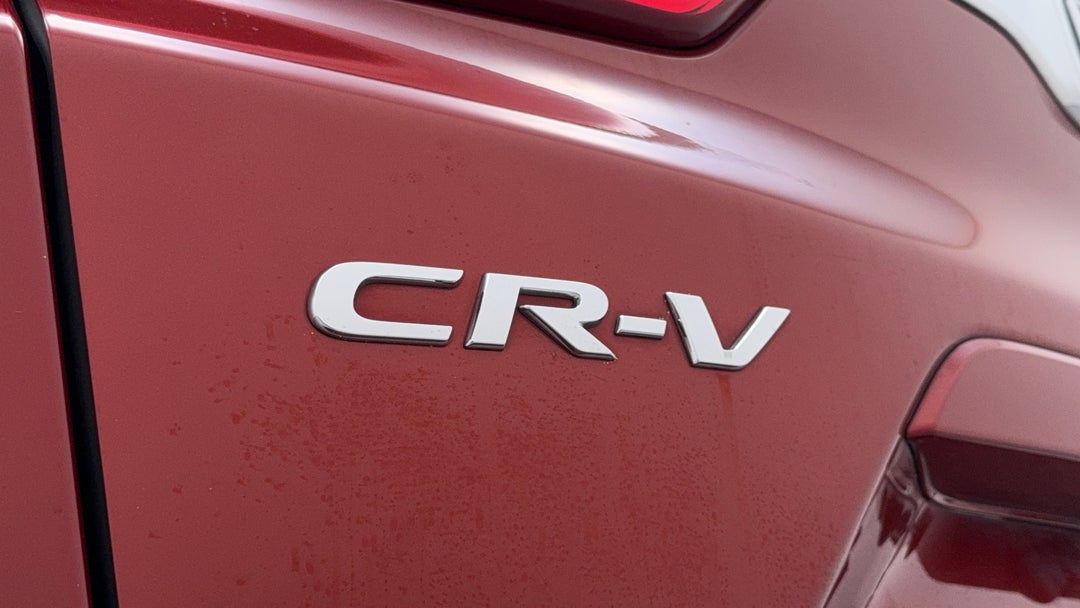 Badge (Boot Left Side)