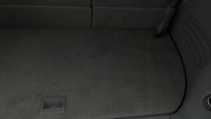 CHEVROLET TRAVERSE-Dicky /Boot Door Carpet Stain