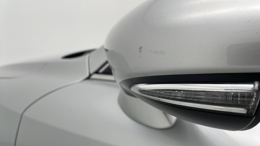 Side Mirrors Housing LHS Chip