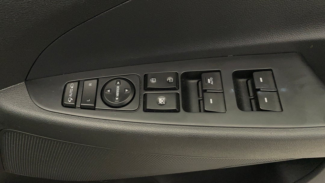Drivers Side Door Panel Controls