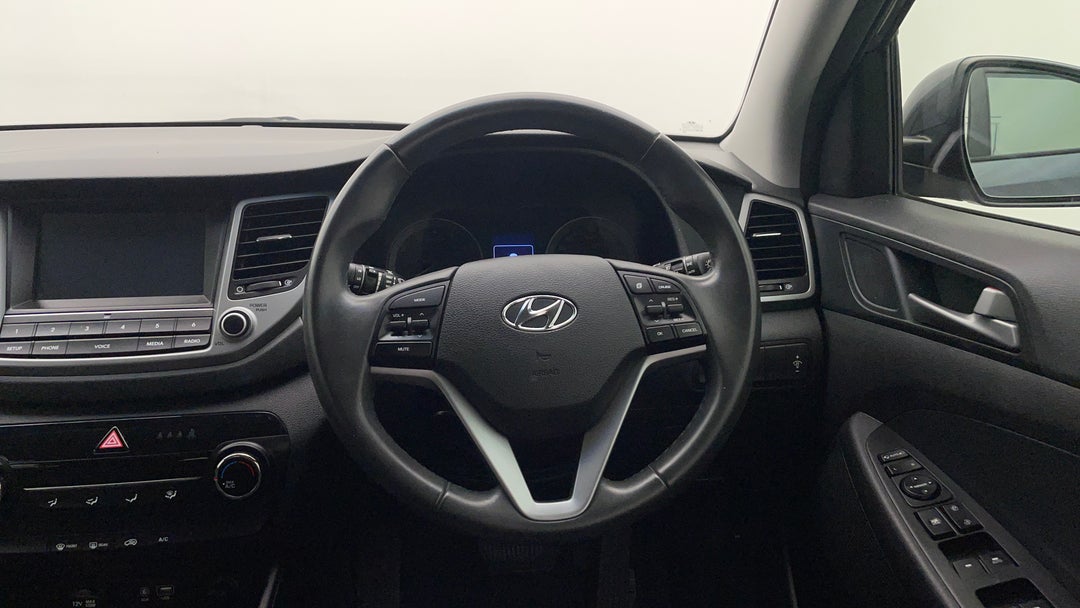 Steering Wheel Close-up