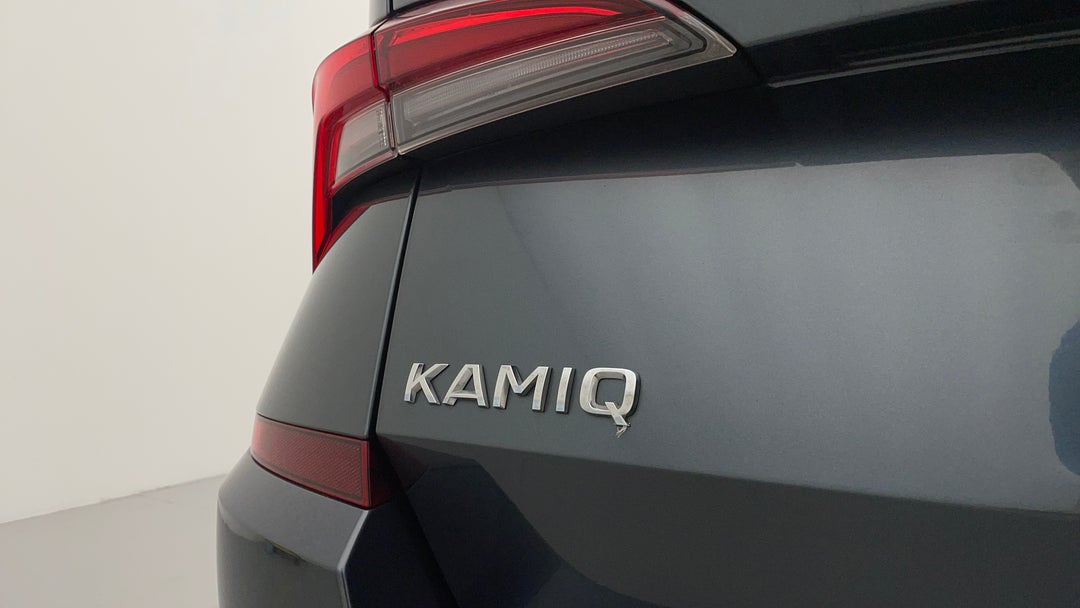 Badge (Boot Left Side)