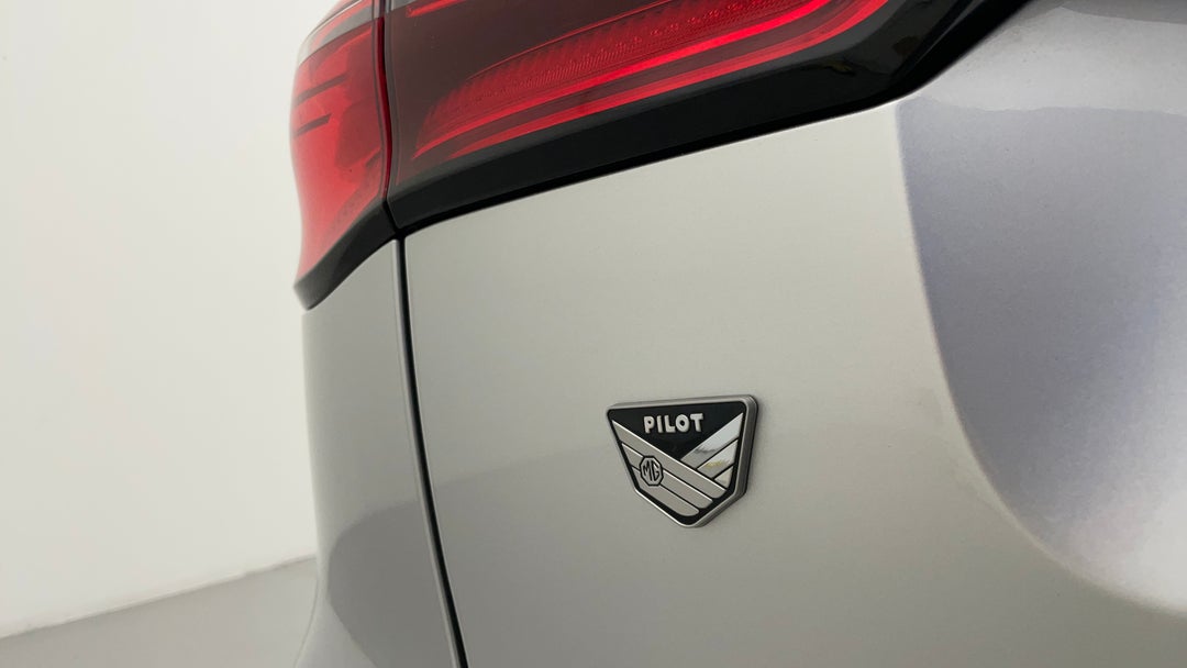 Badge (Boot Left Side)