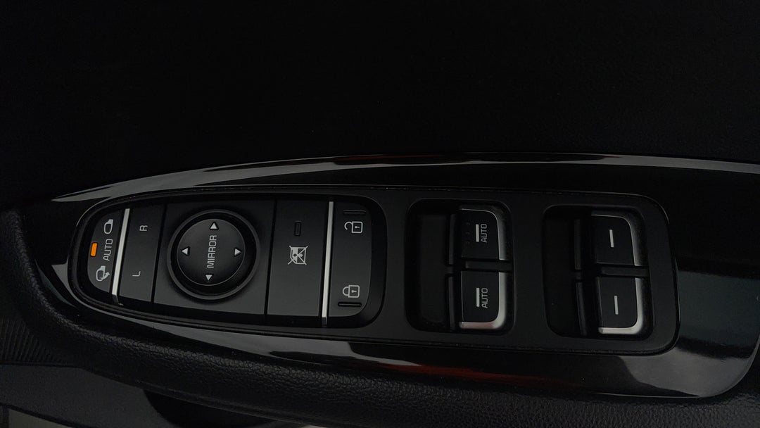 Drivers Side Door Panel Controls