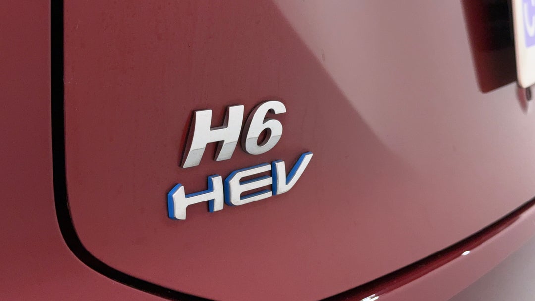 Badge (Boot Left Side)