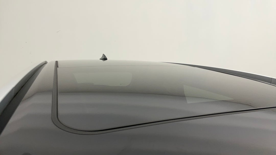 Roof/Sunroof View