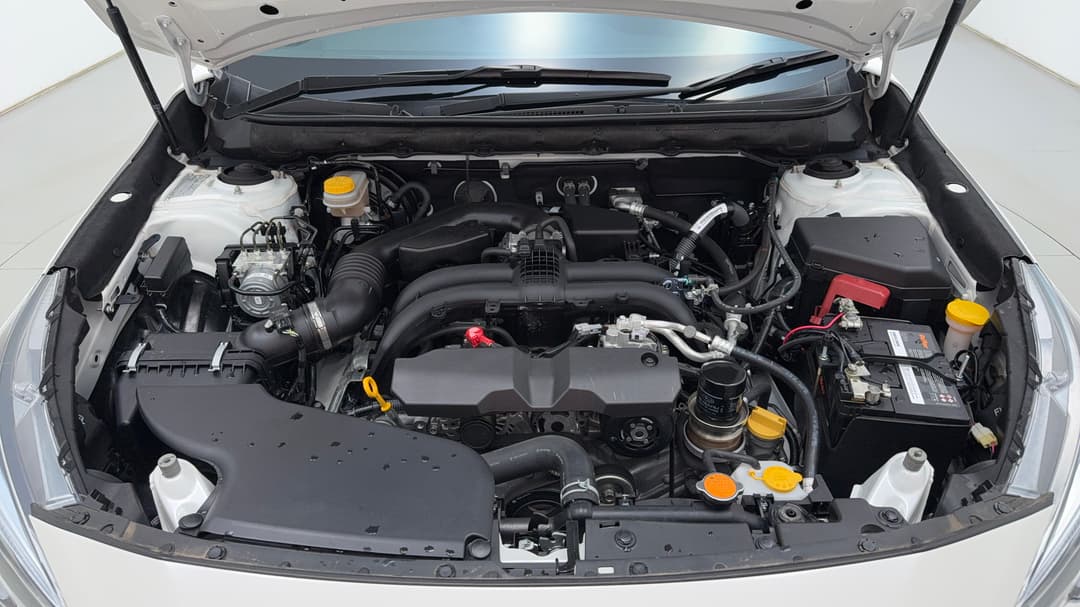 Open Bonnet (Engine)