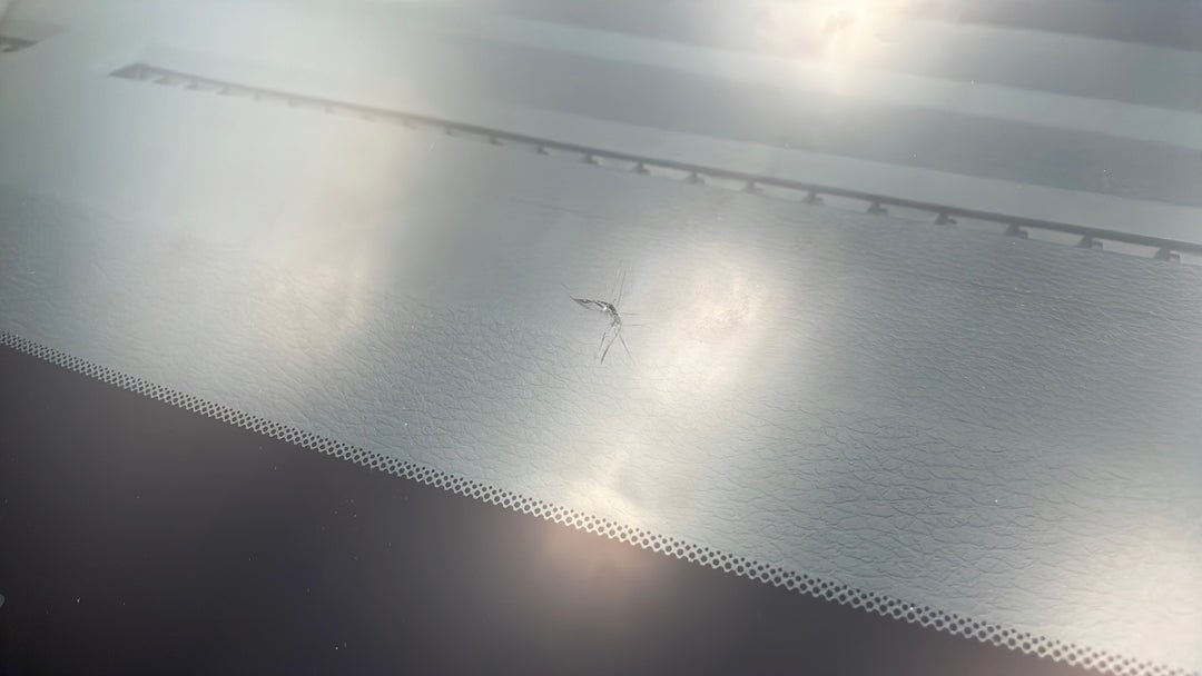 Windshield Front Chip