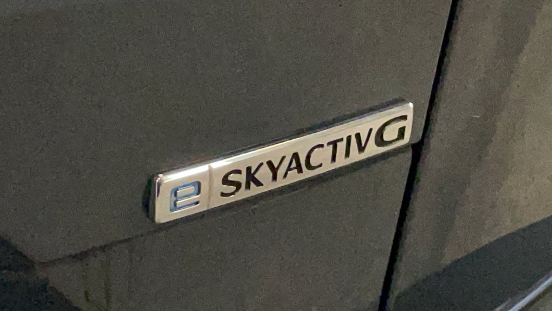 Badge (Boot Right Side)