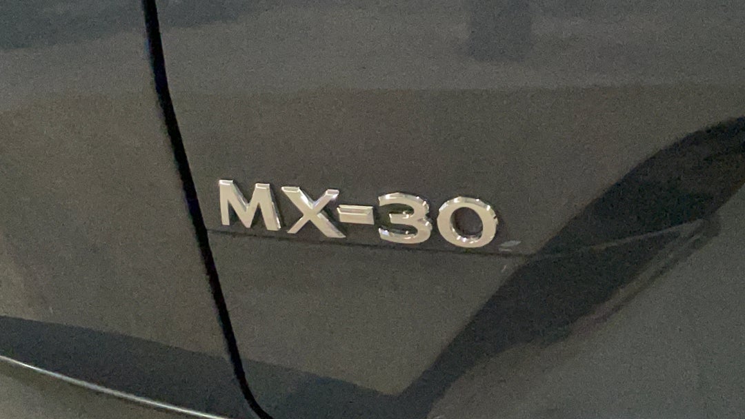 Badge (Boot Left Side)