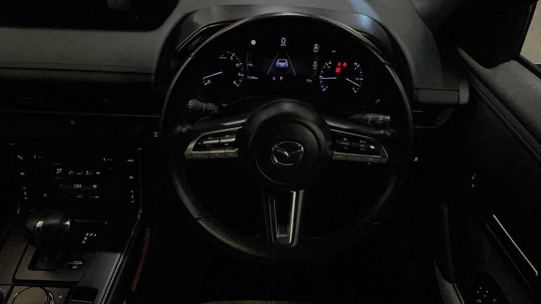 Steering Wheel Close-up