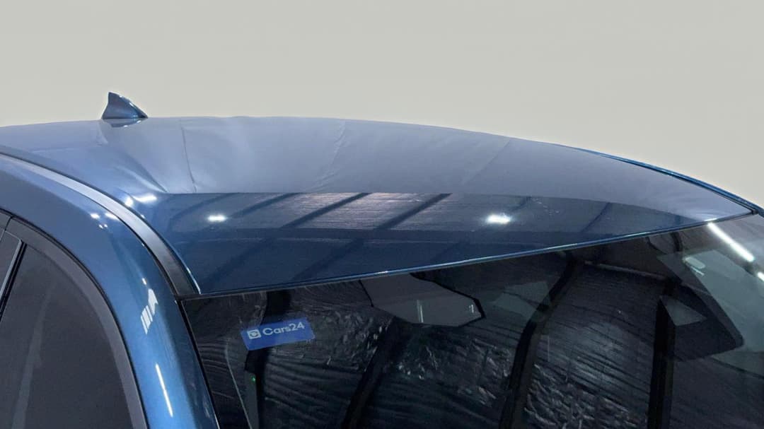 Roof/Sunroof View