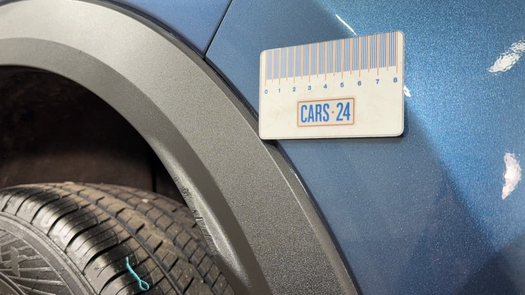 Mud guard Rear LHS Scratch