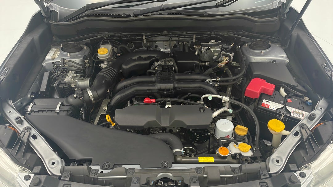 Open Bonnet (Engine)