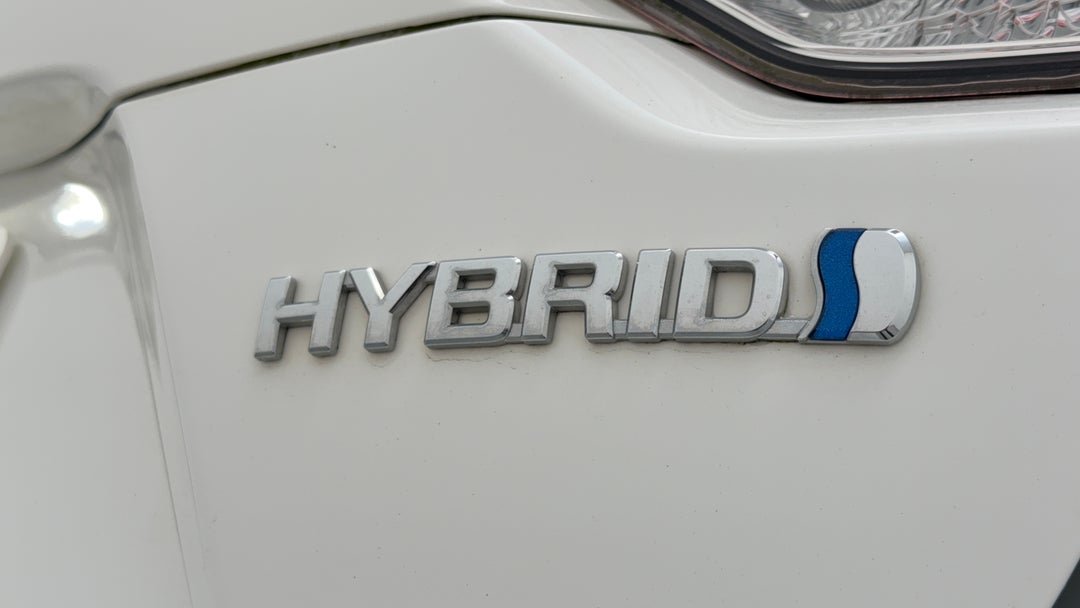 Badge (Boot Right Side)