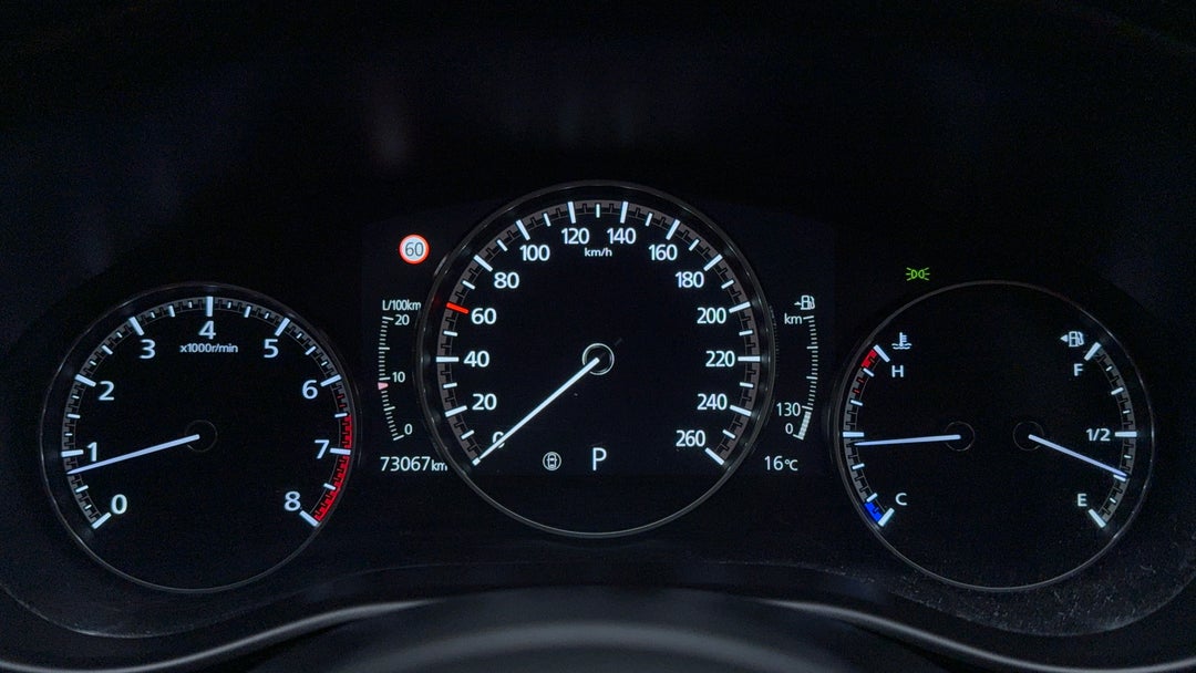 Odometer View