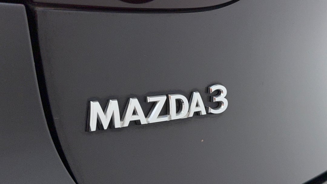 Badge (Boot Left Side)