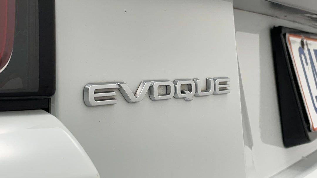 Badge (Boot Left Side)