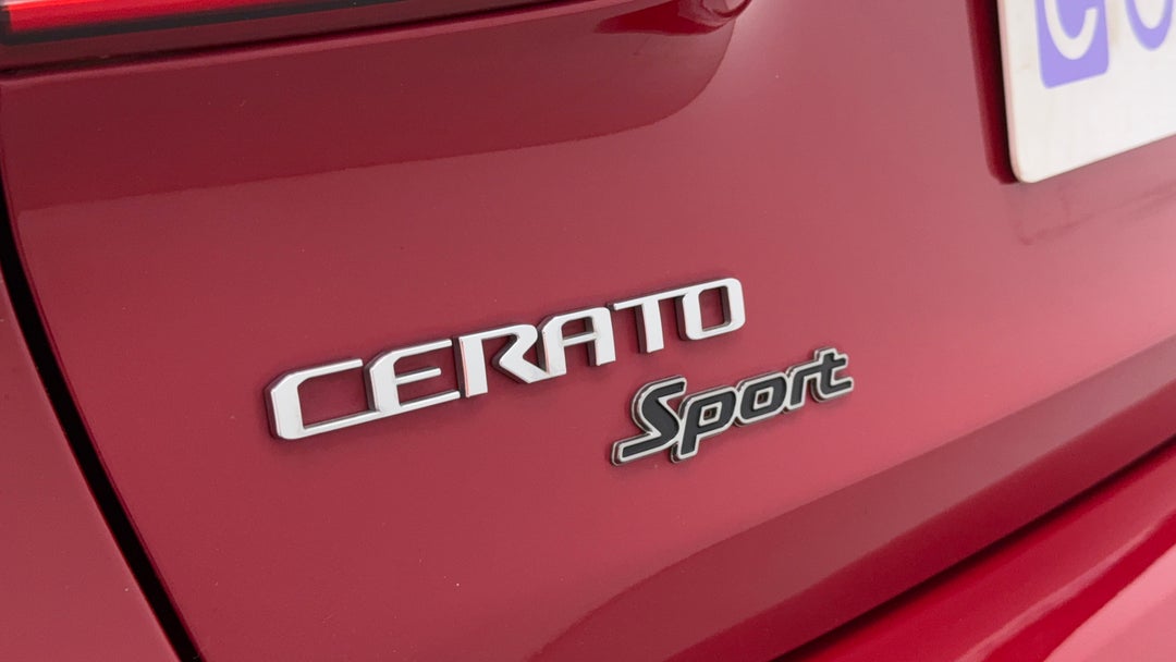 Badge (Boot Left Side)