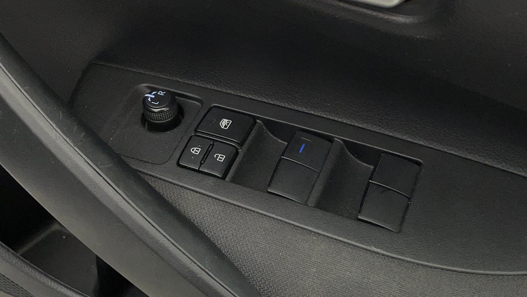 Drivers Side Door Panel Controls