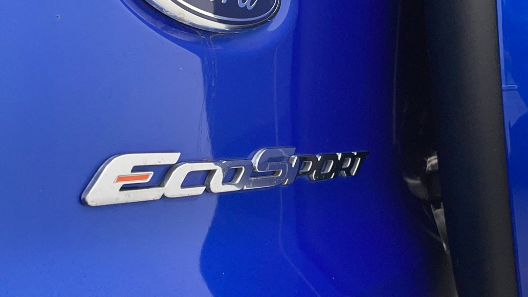 Badge (Boot Left Side)