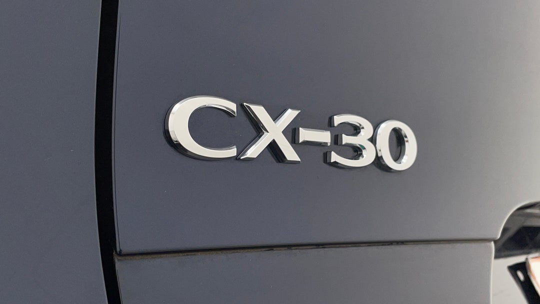 Badge (Boot Left Side)