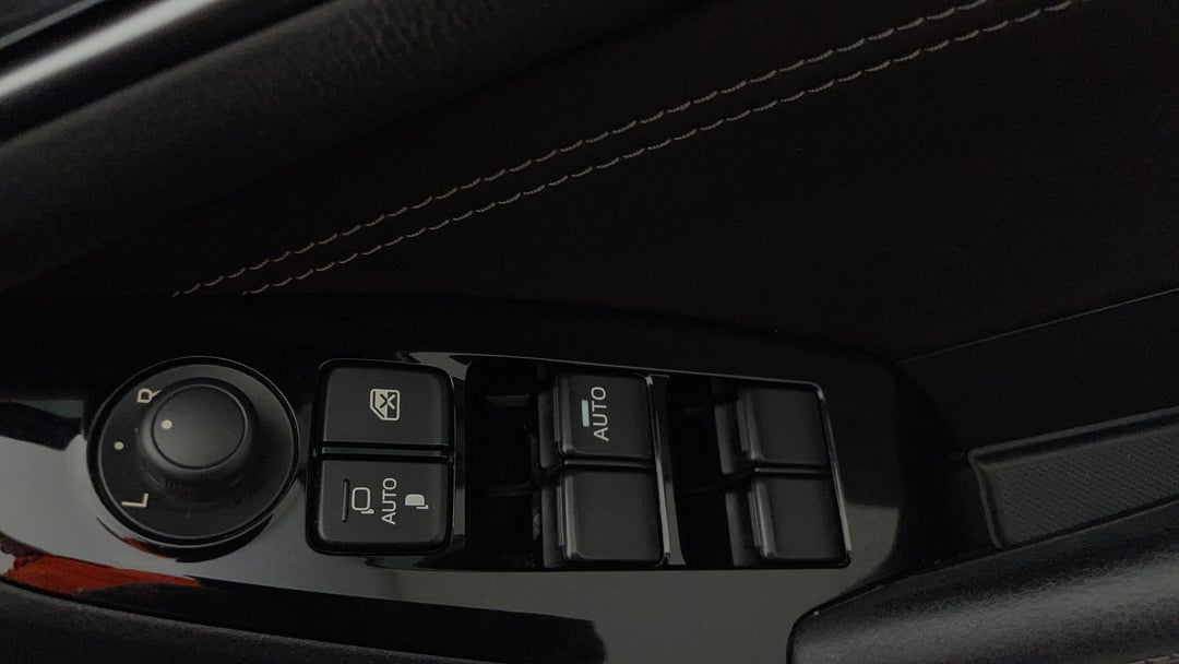 Drivers Side Door Panel Controls