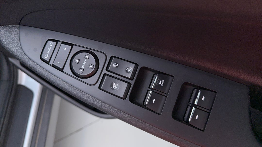 Drivers Side Door Panel Controls