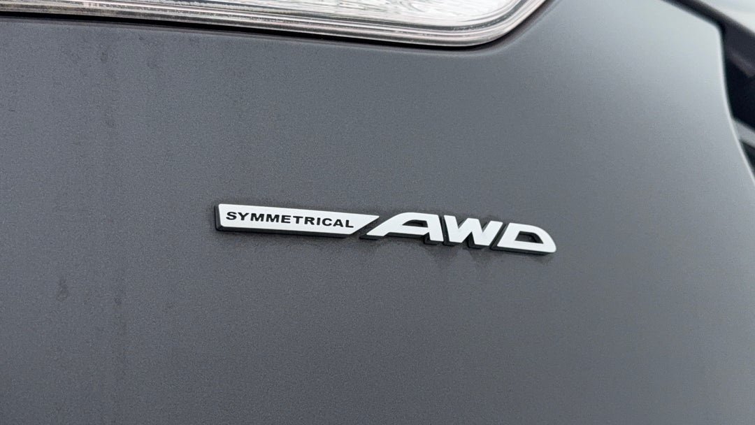 Badge (Boot Left Side)