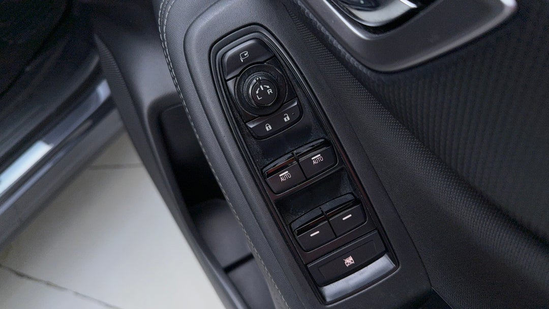 Drivers Side Door Panel Controls