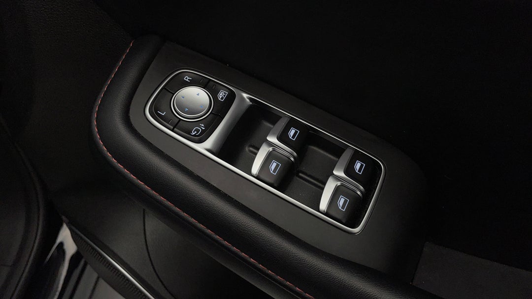 Drivers Side Door Panel Controls