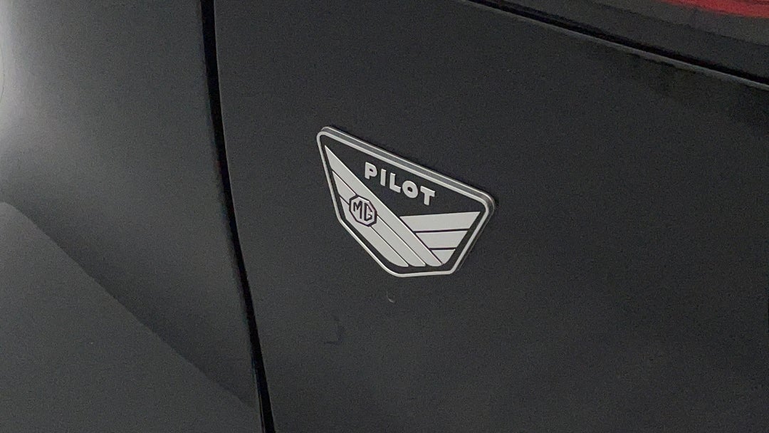 Badge (Boot Left Side)