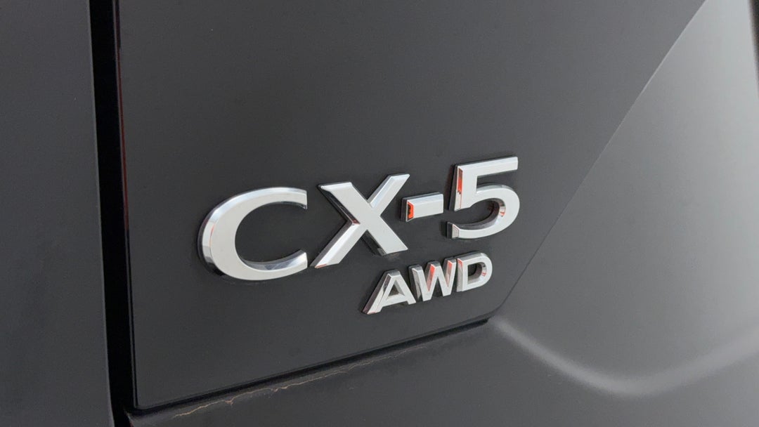 Badge (Boot Left Side)