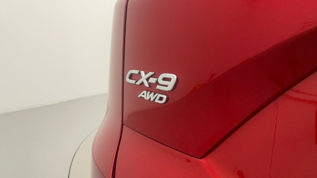 Badge (Boot Left Side)